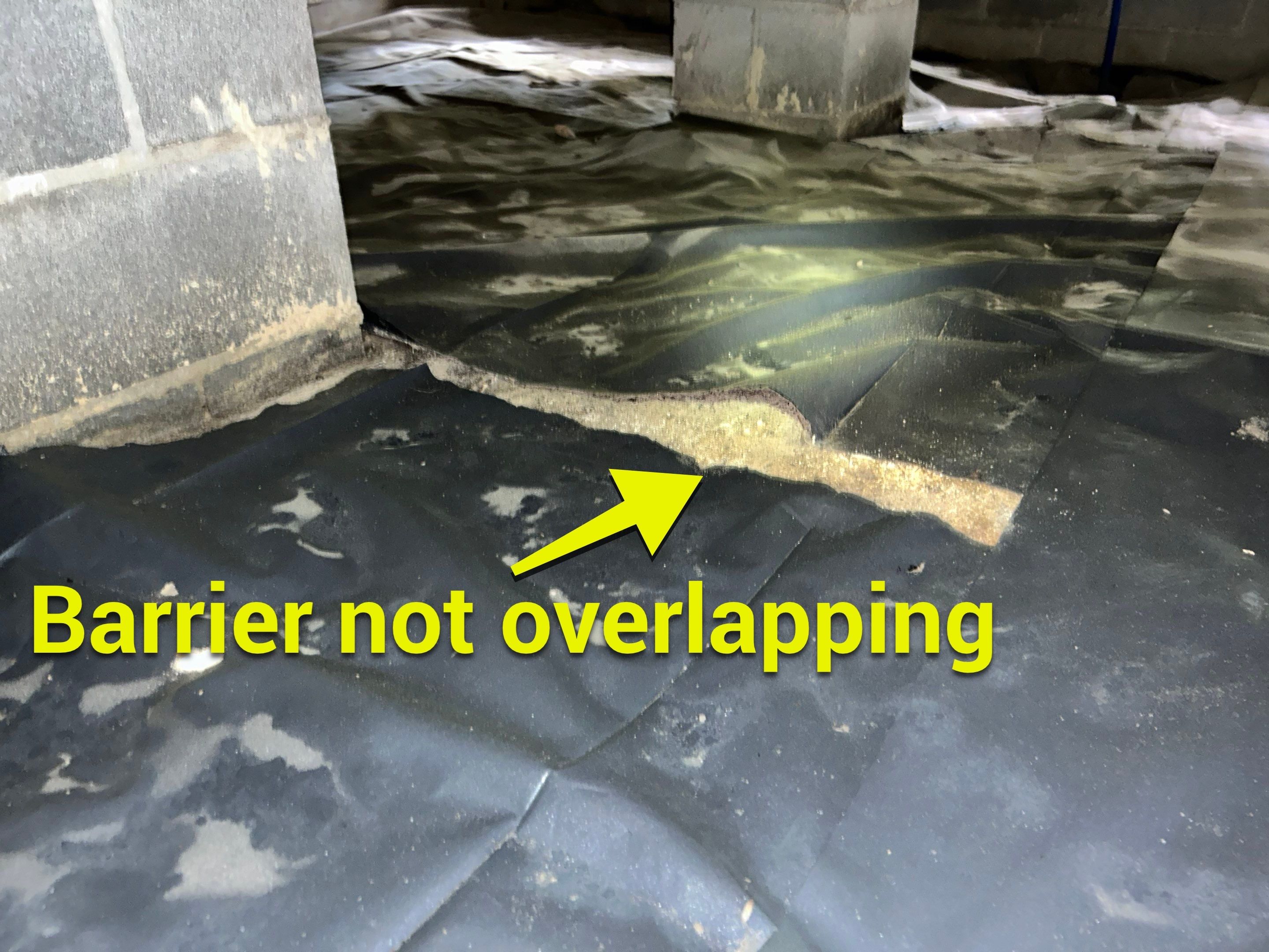 Premium Encapsulation with 20Mil, Borafoam insulation and Light System. by Impact Crawlspace