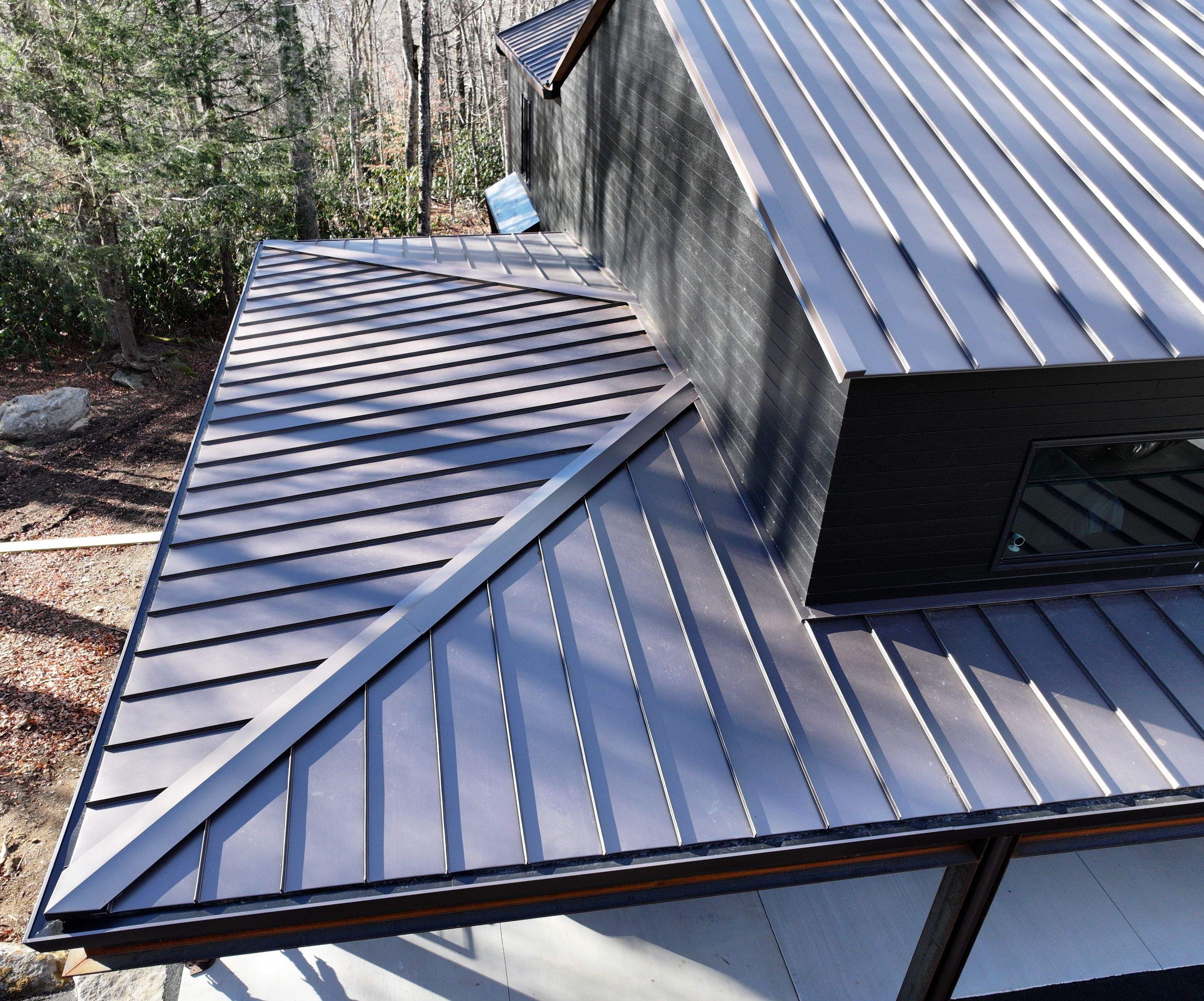 Williams Residence by Omnia Roofing