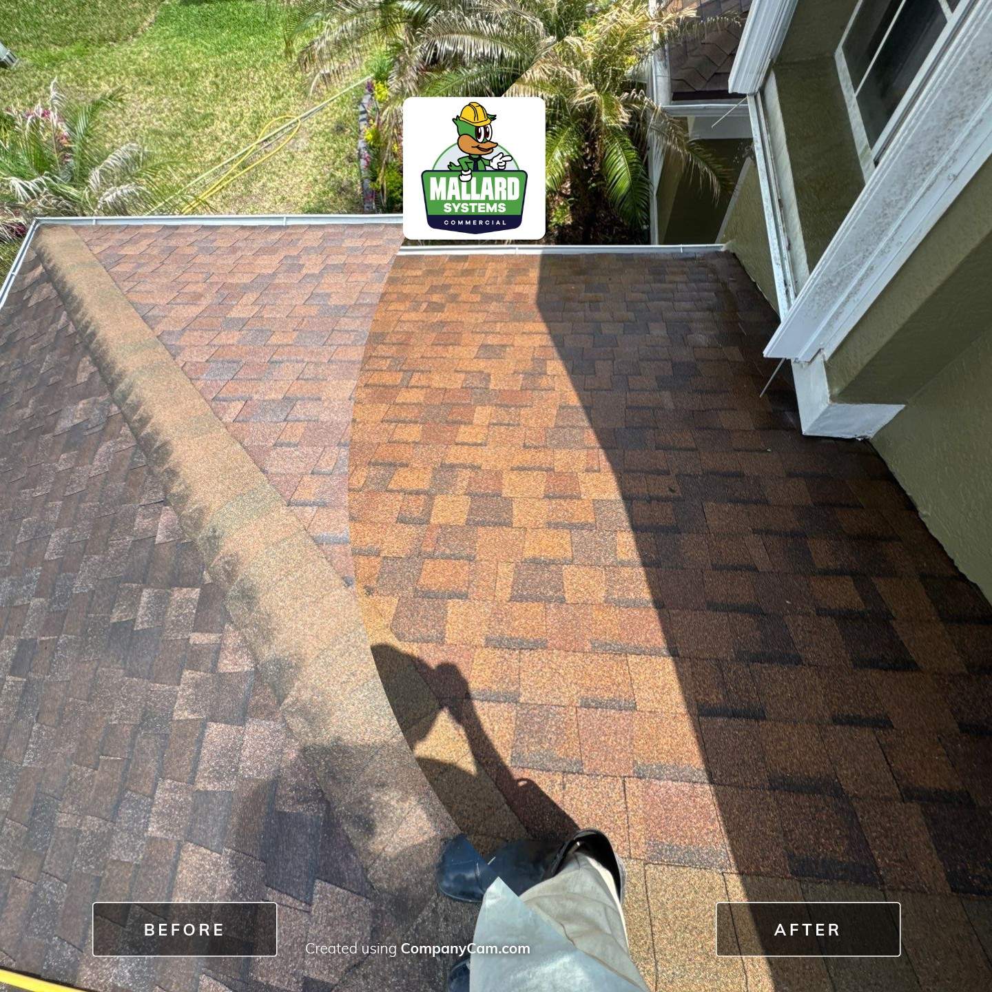 Shingle Roof Cleaning by Mallard Systems