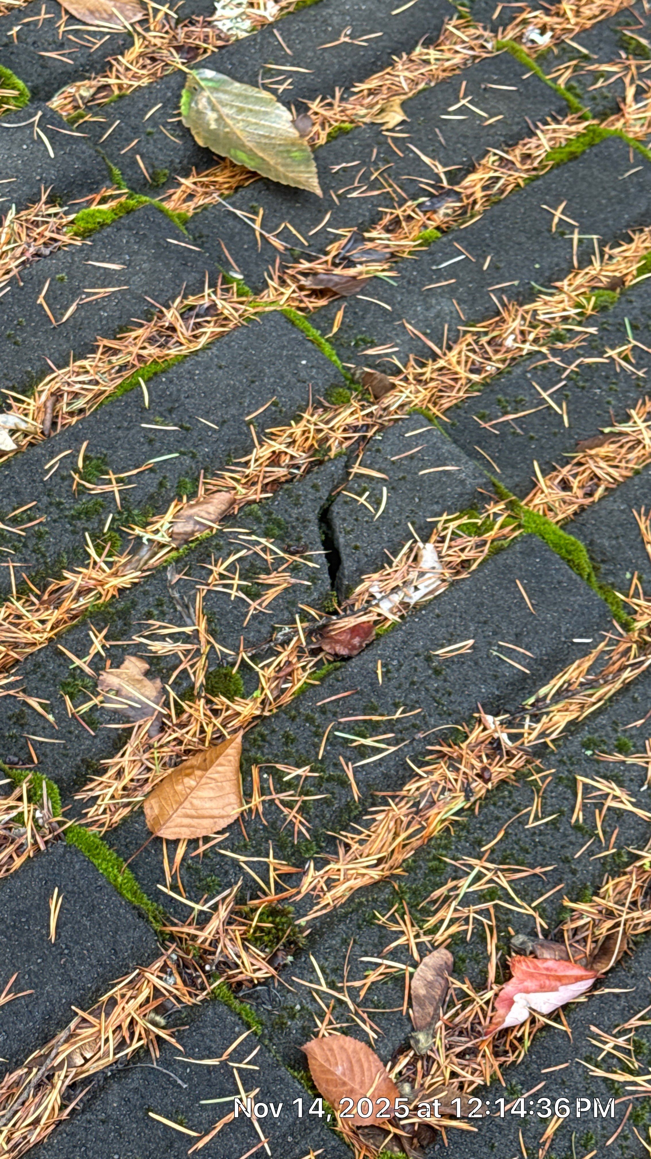 Project in Happy Valley, OR by Rain City Roofers