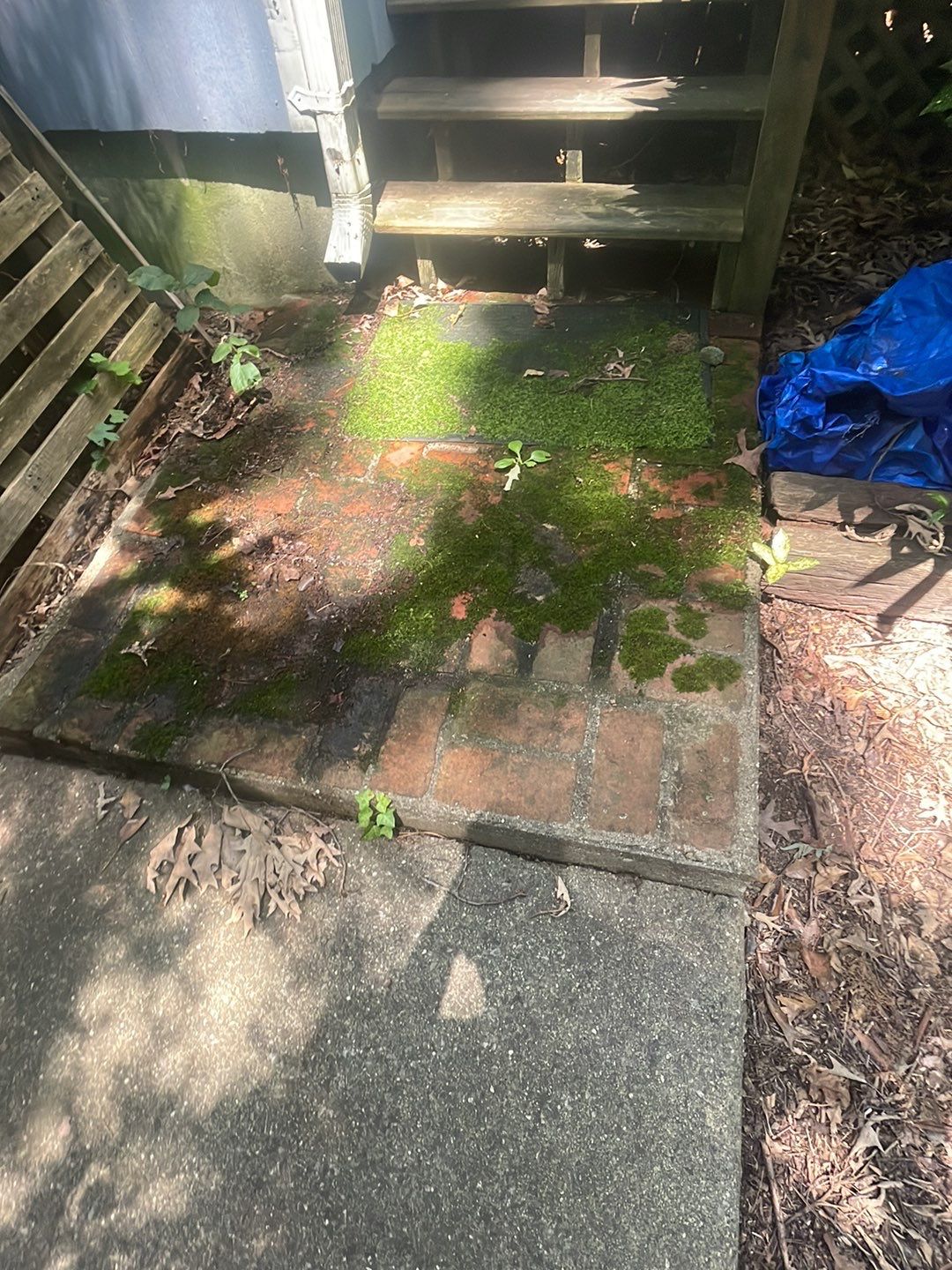 Roof Wash by SJ Exterior