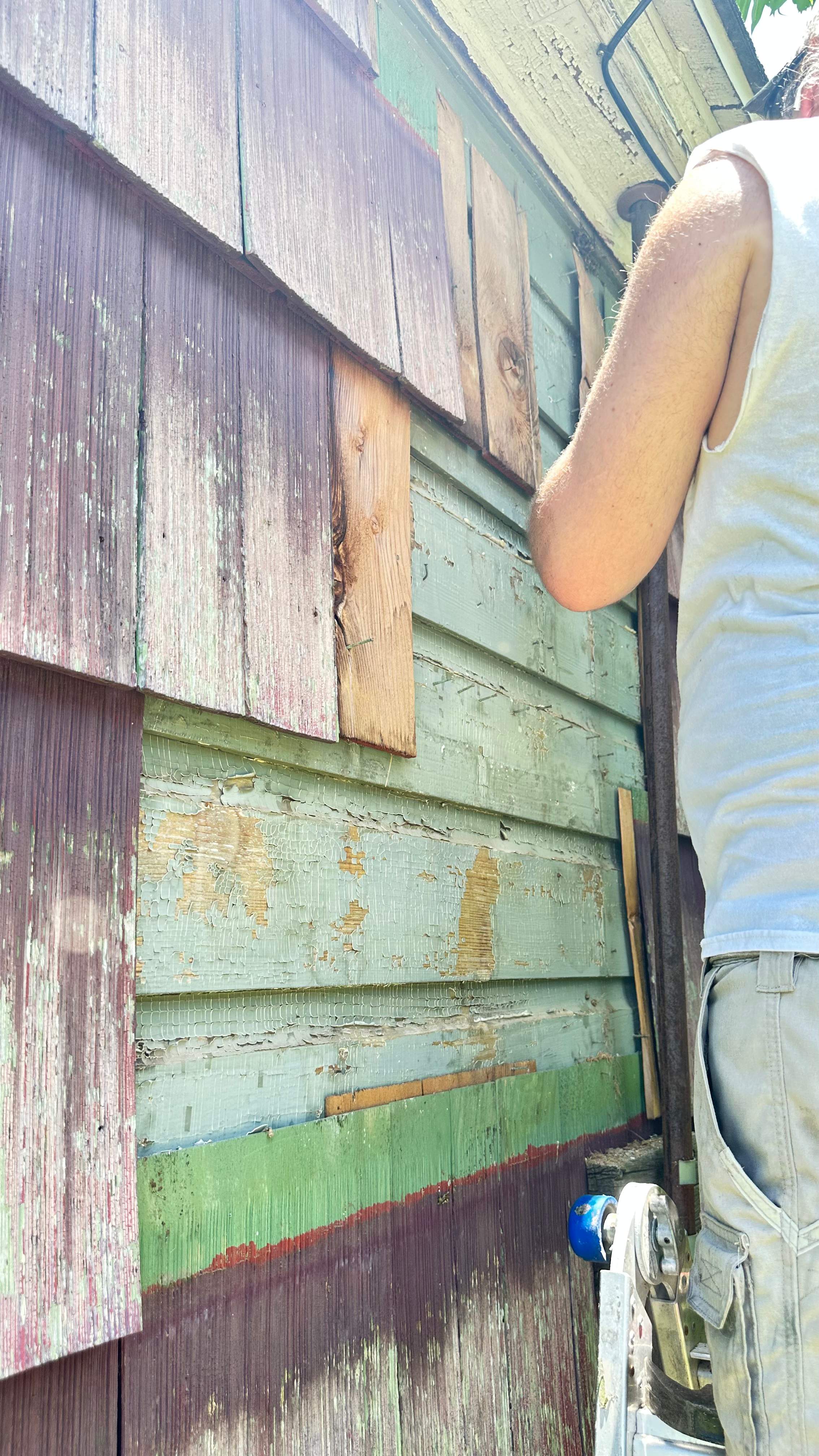 Behind Siding by Rockwall Honey Bee Company