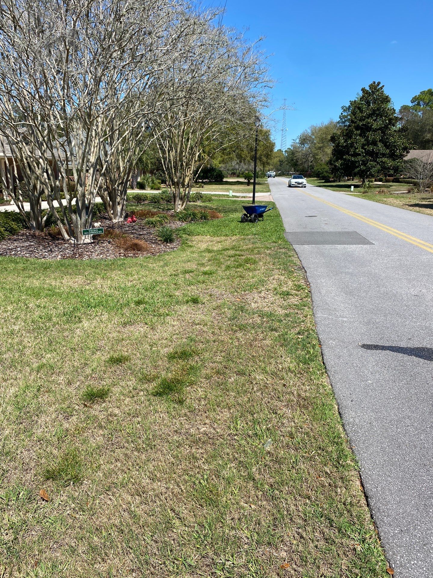 Deerwood Resident | Sod Install & Shrub Removal by ProGreen Services
