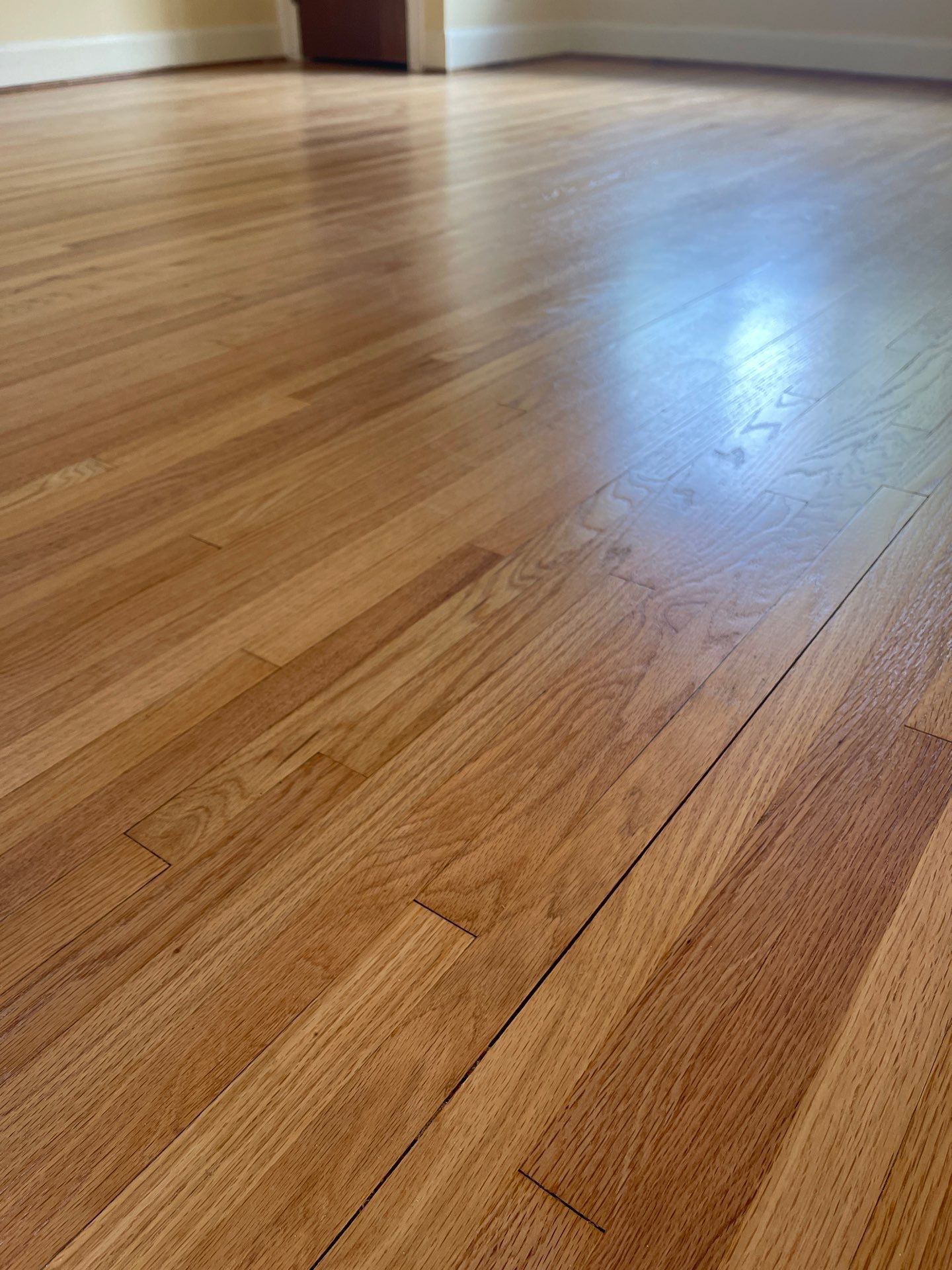 Historic Hardwood floor restoration  by Ann Arbor Hardwoods 