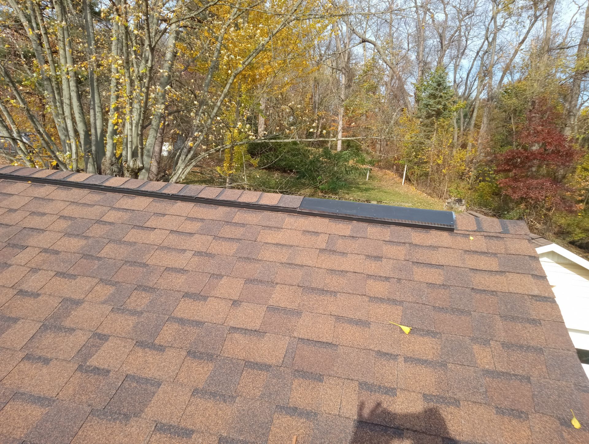 Joylynn Buettell by Silver Leaf Contracting 
