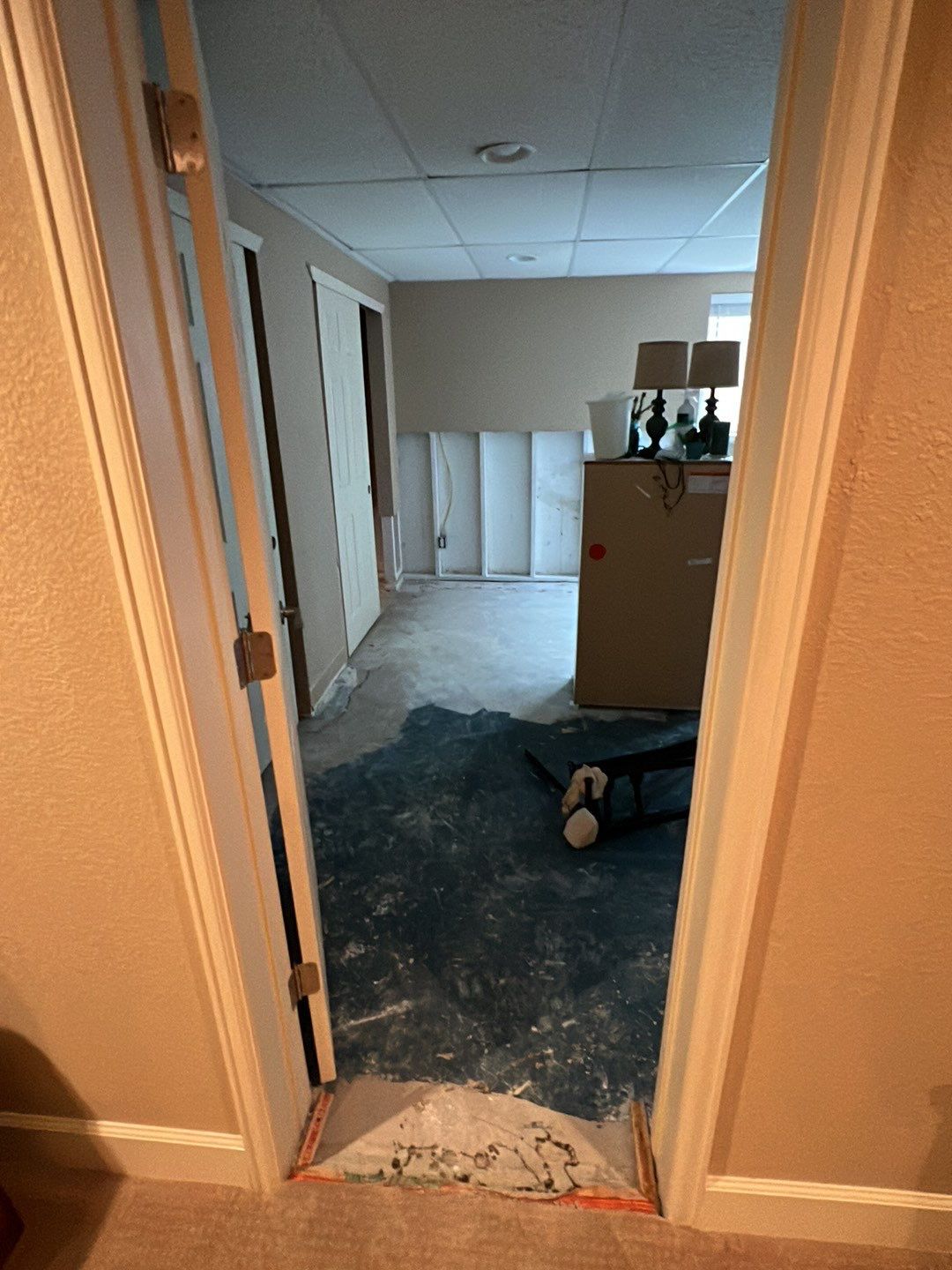 Mold Damage by Accountable Home Services