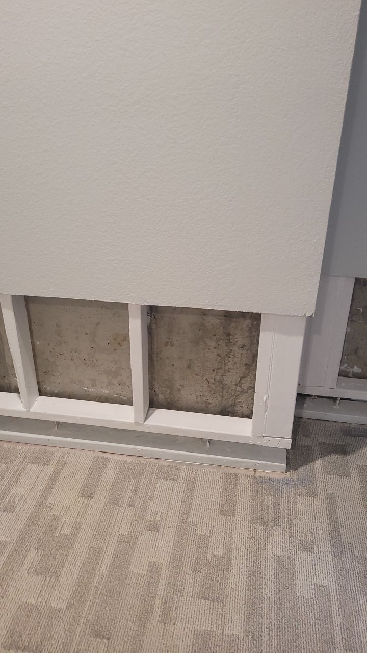 Mold Remediation  by Accountable Home Services