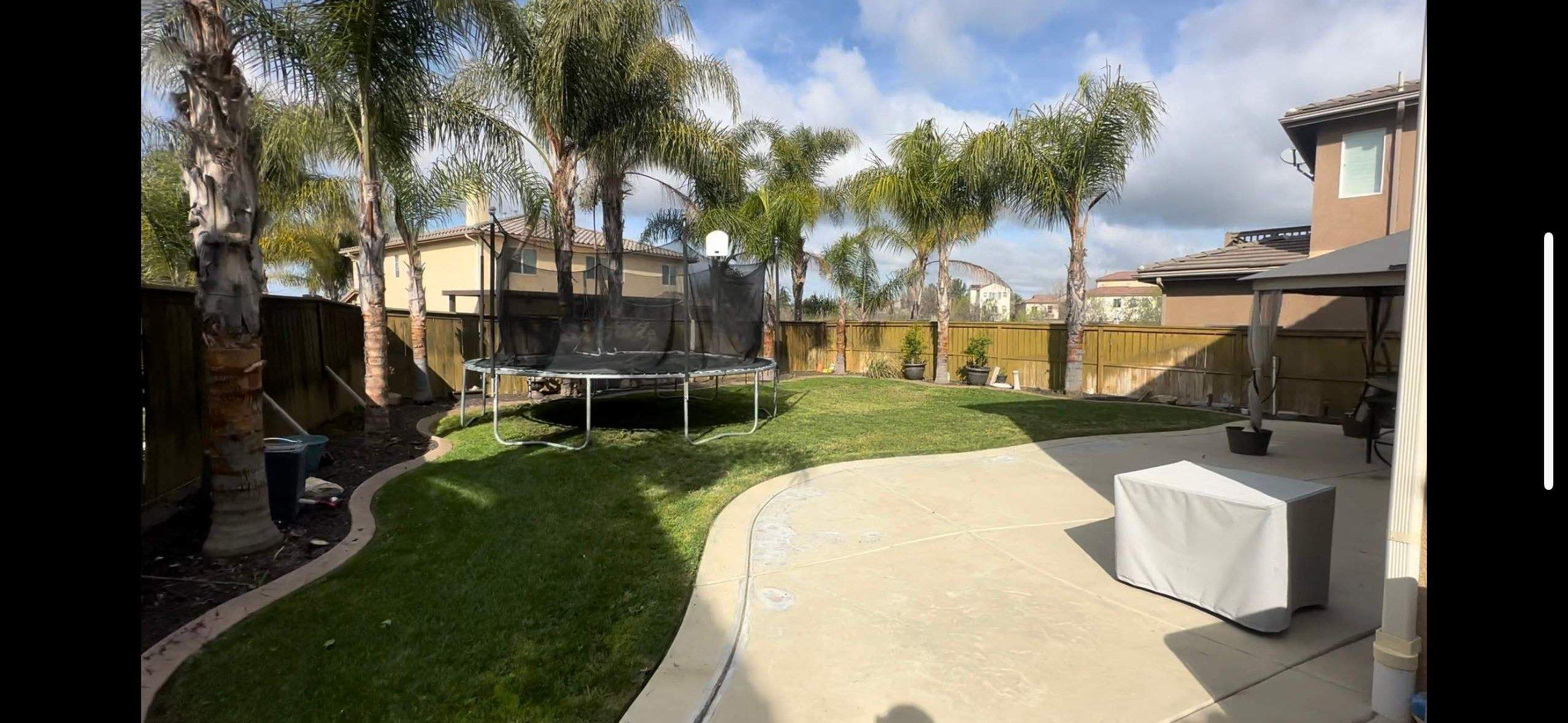 Freeform pool and spa by Premier Pools and Spas Temecula