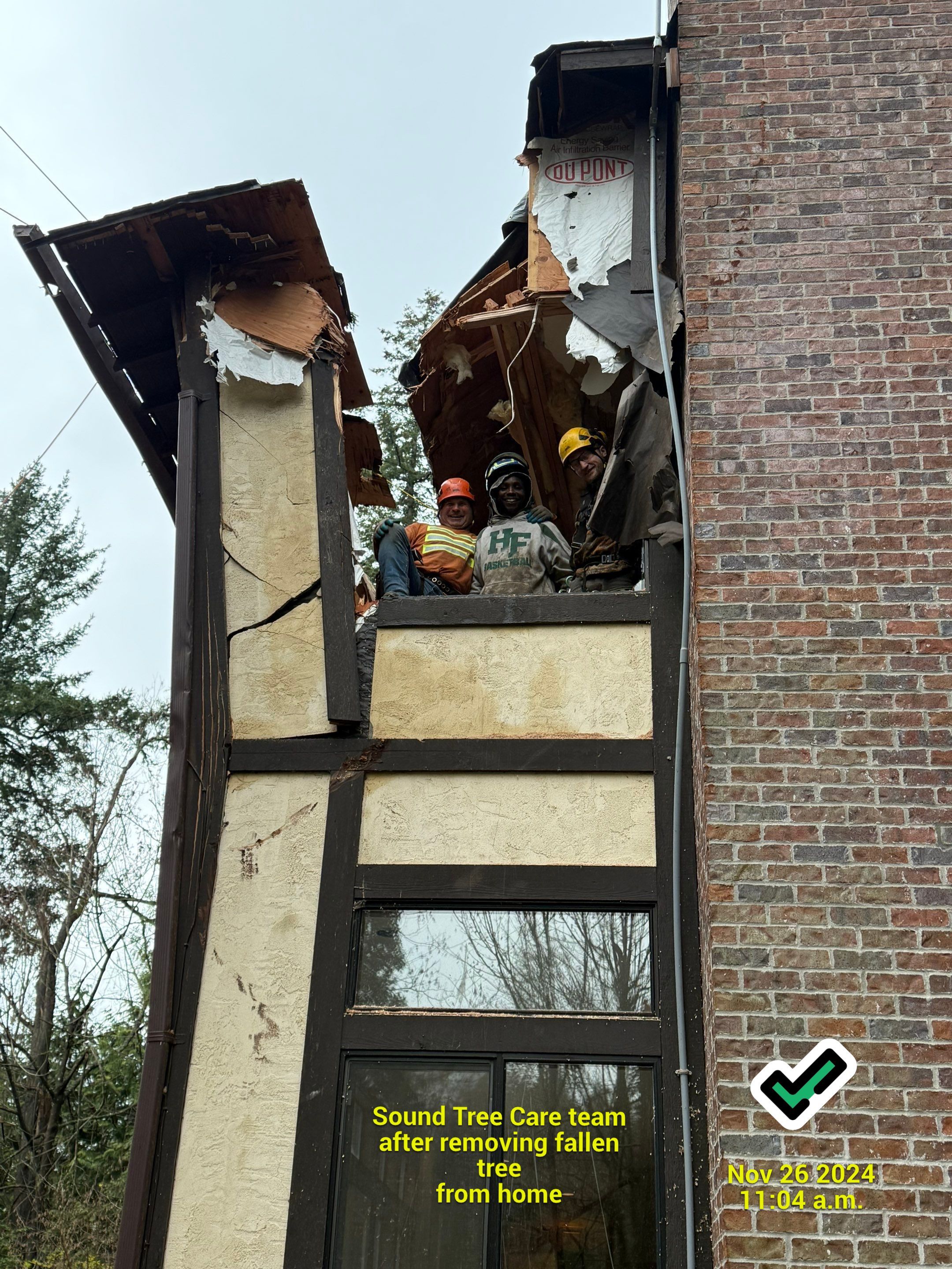 Emergency Tree Removal in Normandy Park ā Storm-Damaged Tree on Home (Nov 2024) by Sound Tree Care LLC