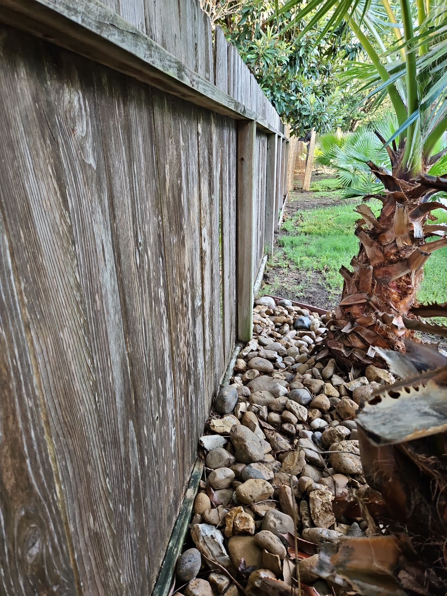Poolside Perfection by Tim's Fences