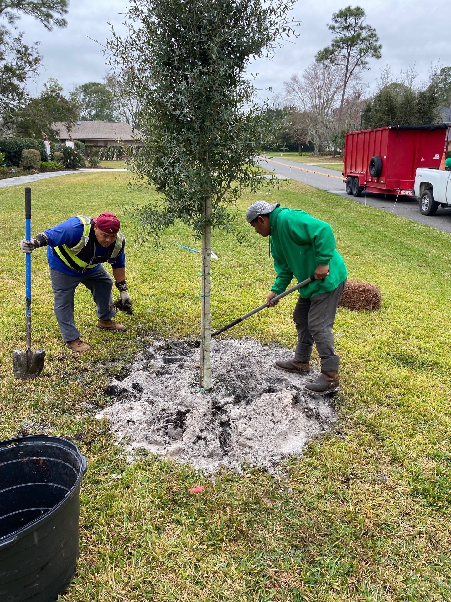 Deerwood | Live Oak Planting Project  by ProGreen Services