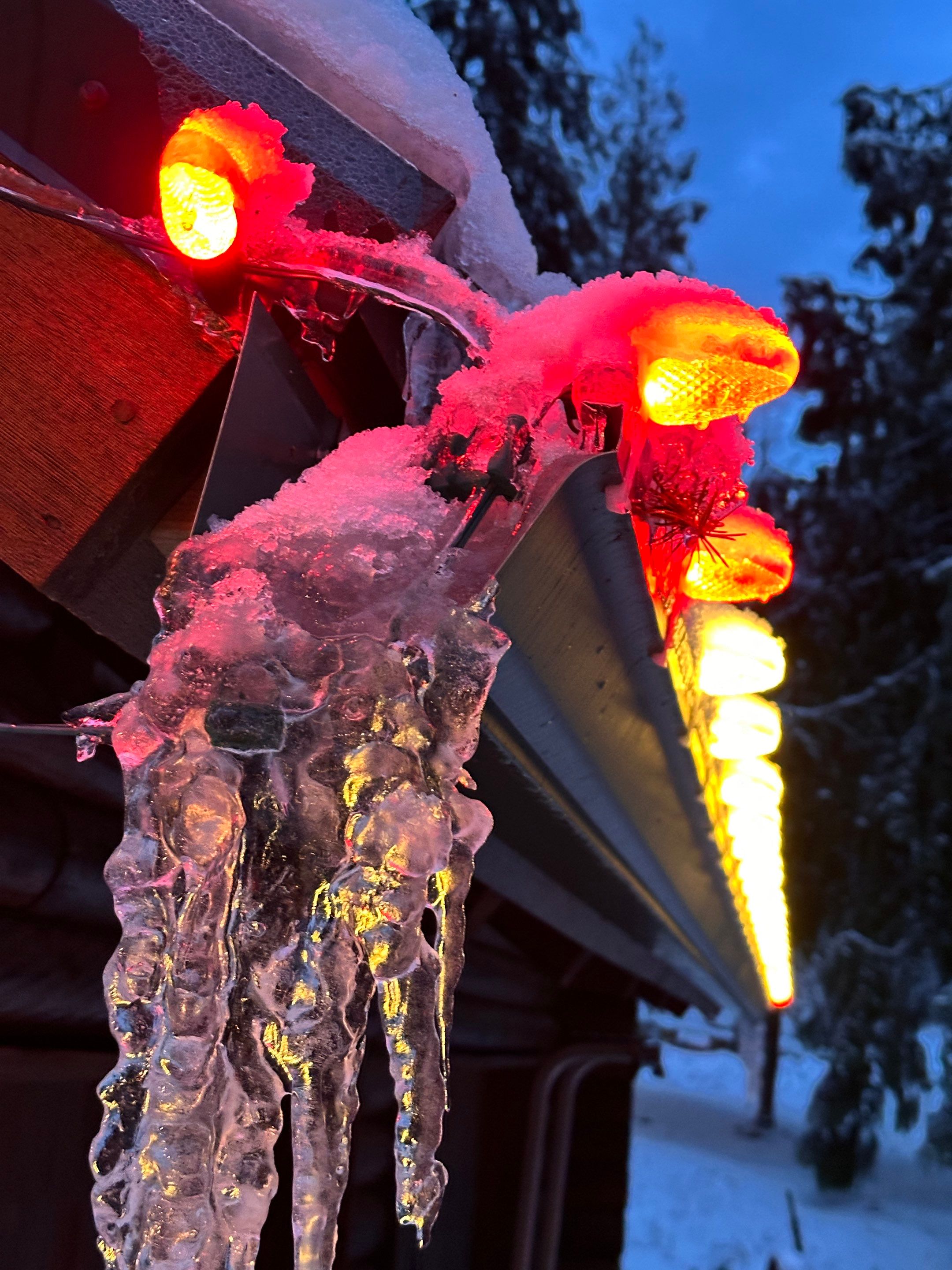 Holiday Light Gallery by WindowWorks