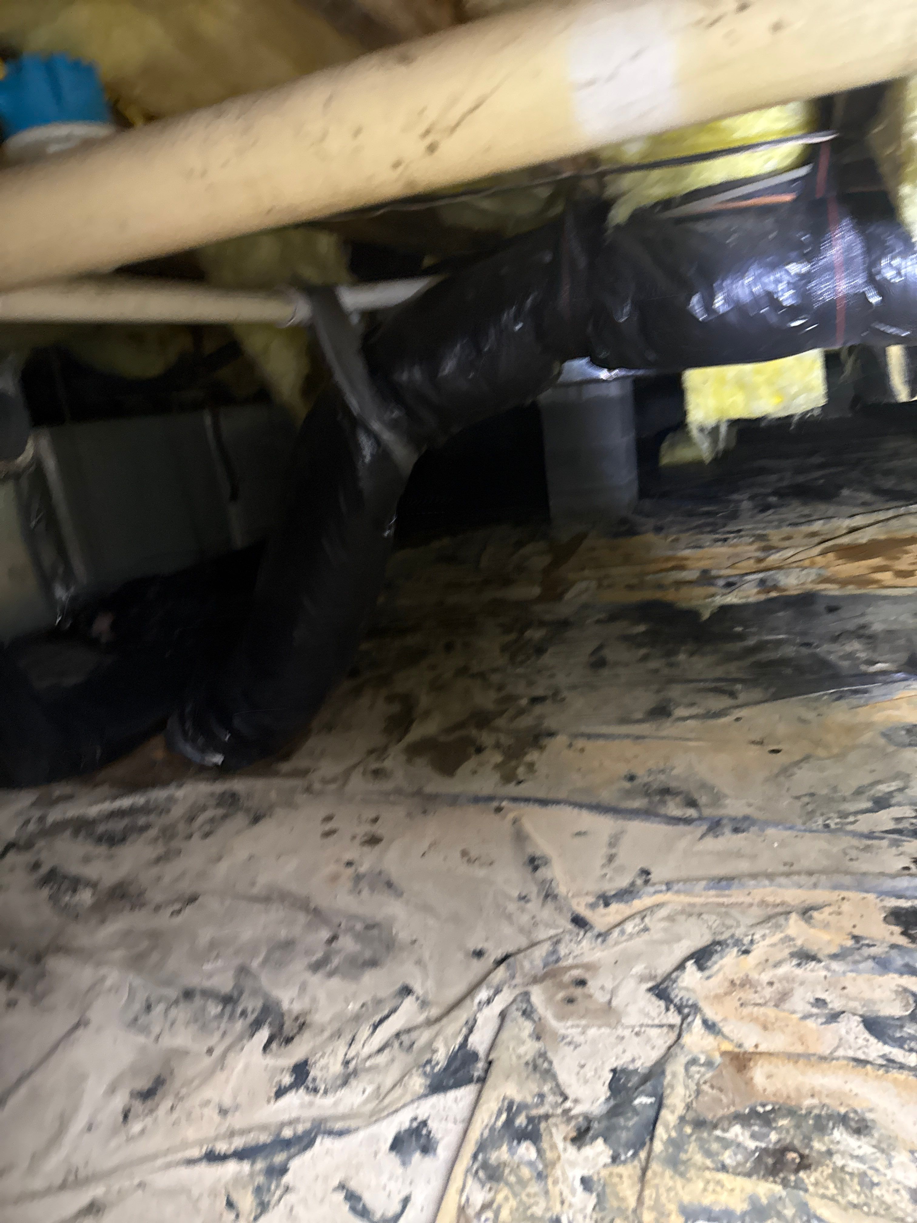 Water Damage& Mold Remediation Project-Dover, DE. by Healthy Home Solutions