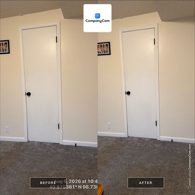 Modern Basement Interior Renovation with New Doors and Carpeting