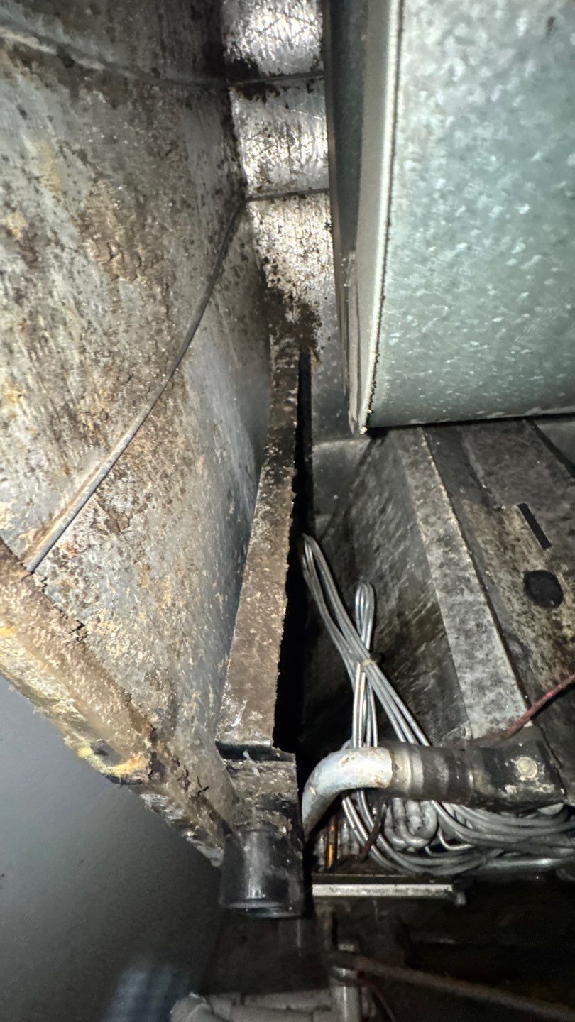 Extremely Dirty Air Duct Cleaning in Fruitland Park by Hygienic Air, Inc