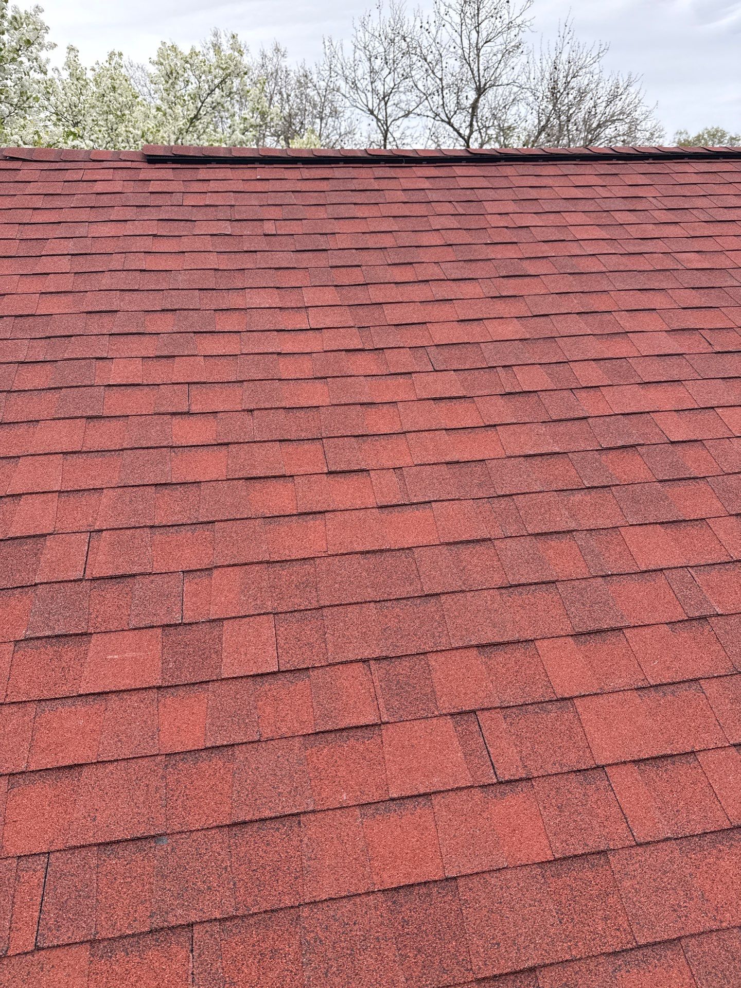 Springfield: Residential Roof Replacement with CertainTeed Landmark Pro in Max Def Red Oak by RM Banning, Inc.