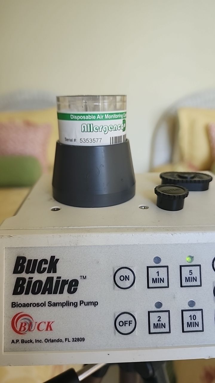 Humidity Bloom that caused mold to Grow by Building performance Solutions LLC