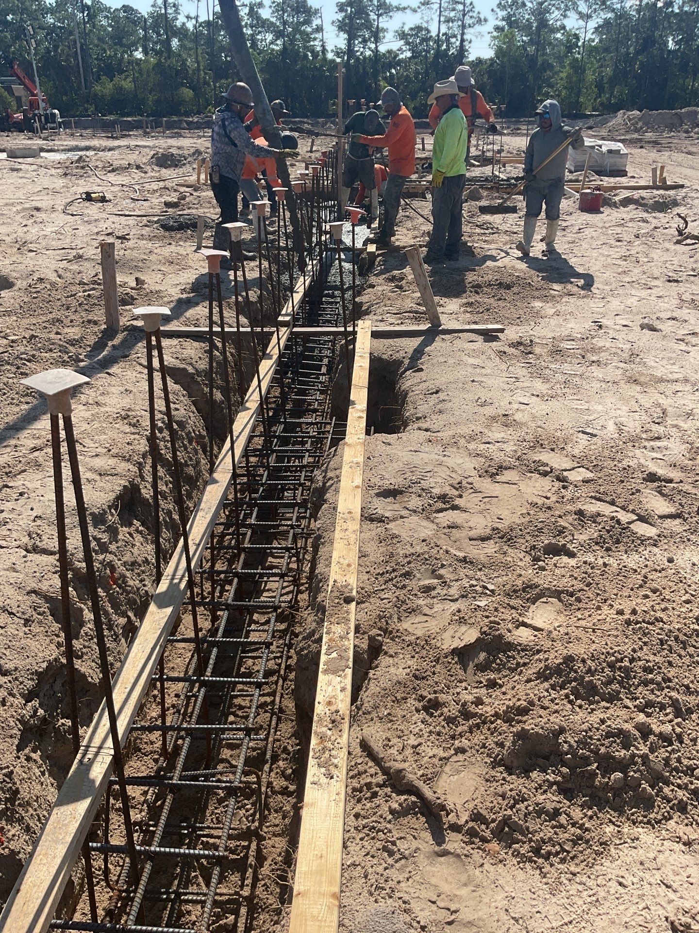 TRACTOR SUPPLY NAPLES by Southern Gulf Construction