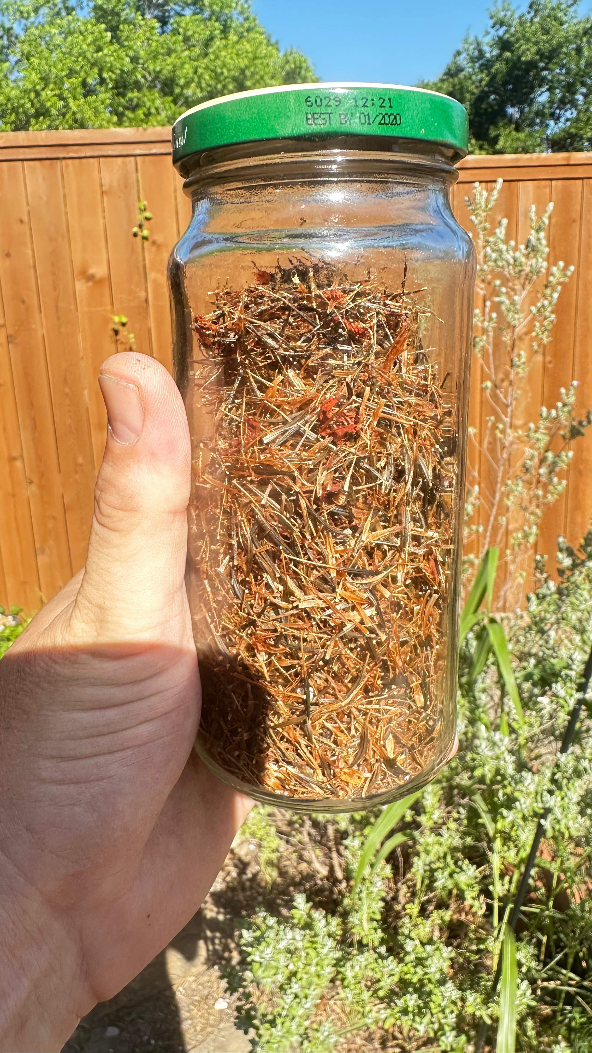 Project in Dallas by Rockwall Honey Bee Company