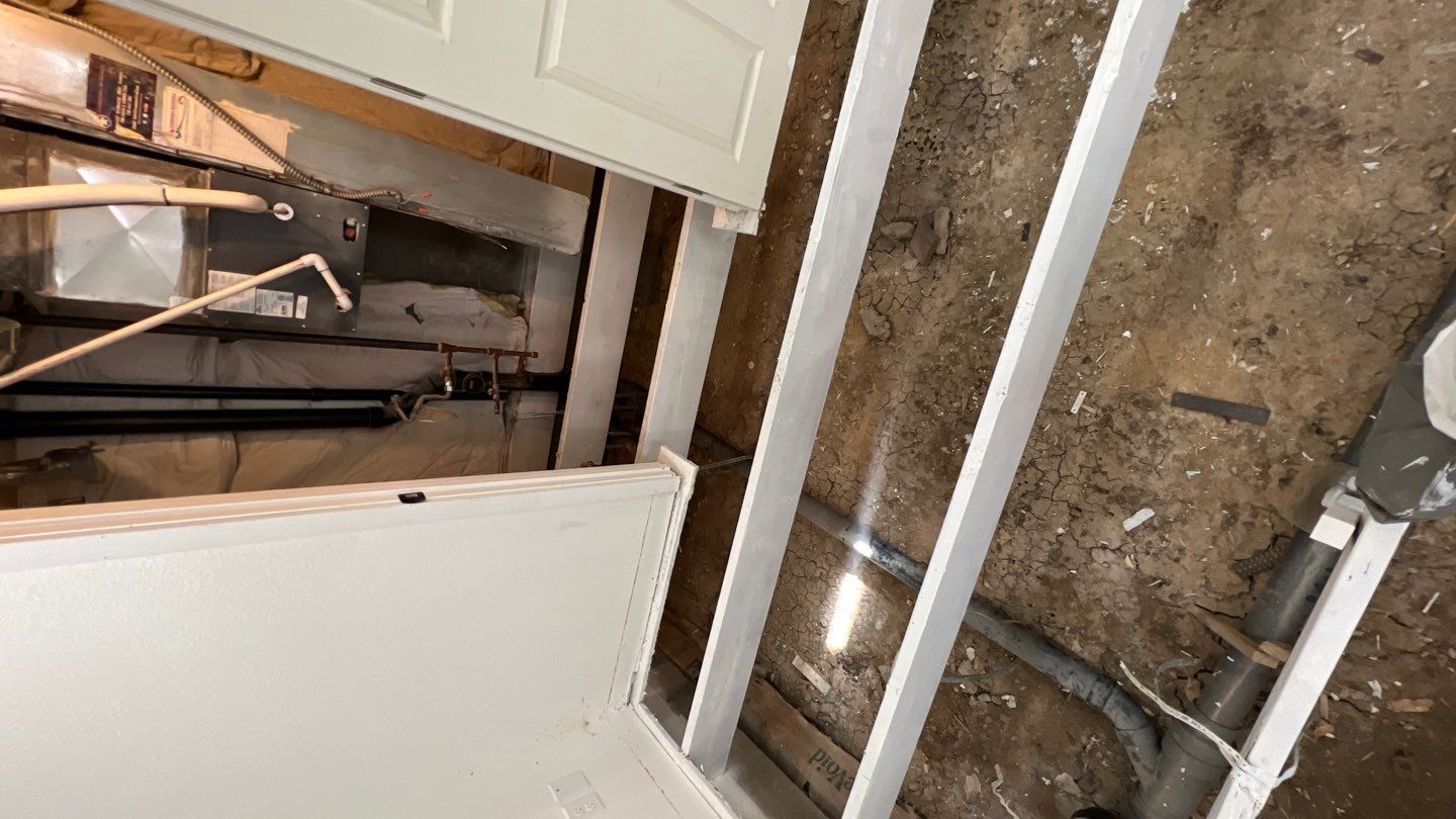 Mold Remediation by Accountable Home Services