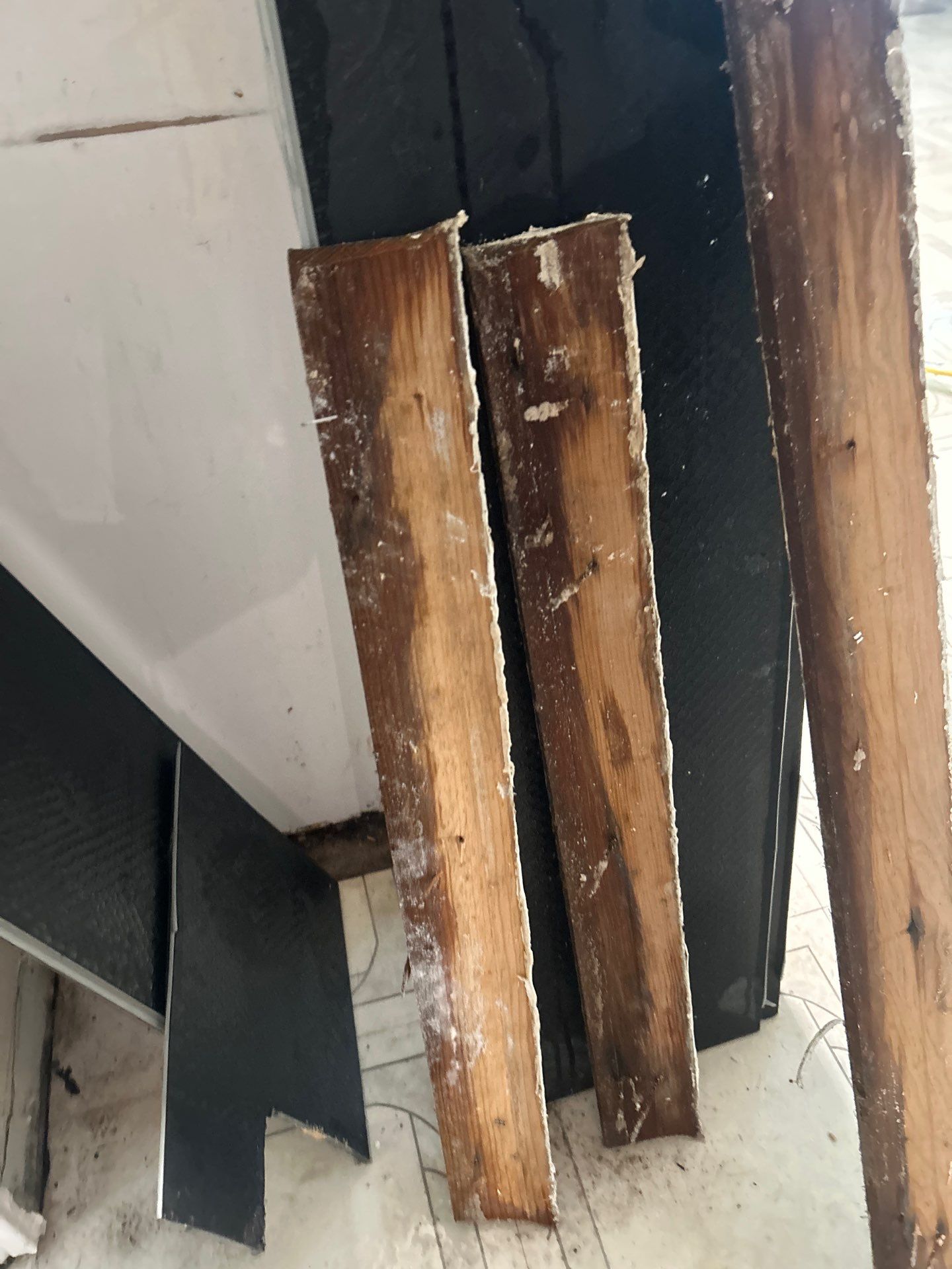 Water Damage Remediation Services by Ampm Restoration Services