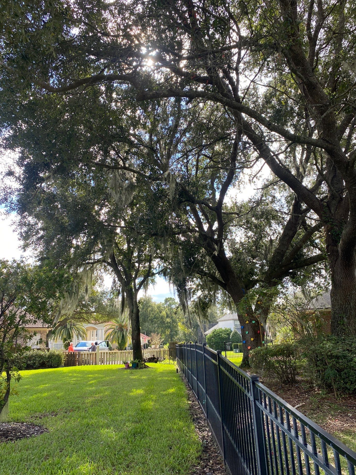 Deerwood | Tree Trimming & Sod Install | Residential by ProGreen Services