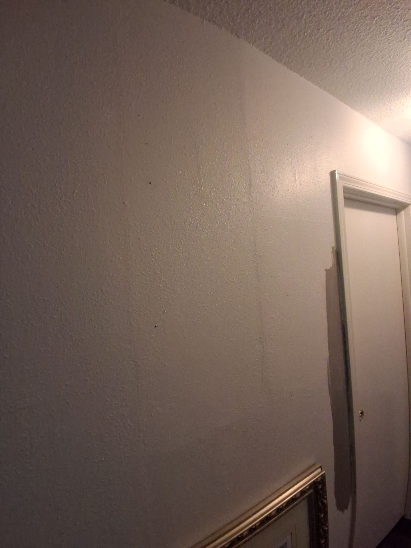 Goodbye Off-White, Hello Quietude in Hideaway TX by Quality Coats Painting