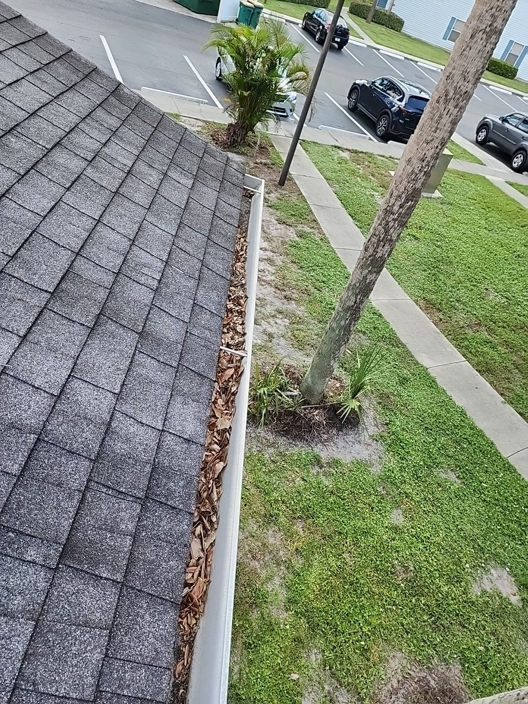 Commercial gutter cleaning Naples & Marco Island, FL before photo with filled gutters
