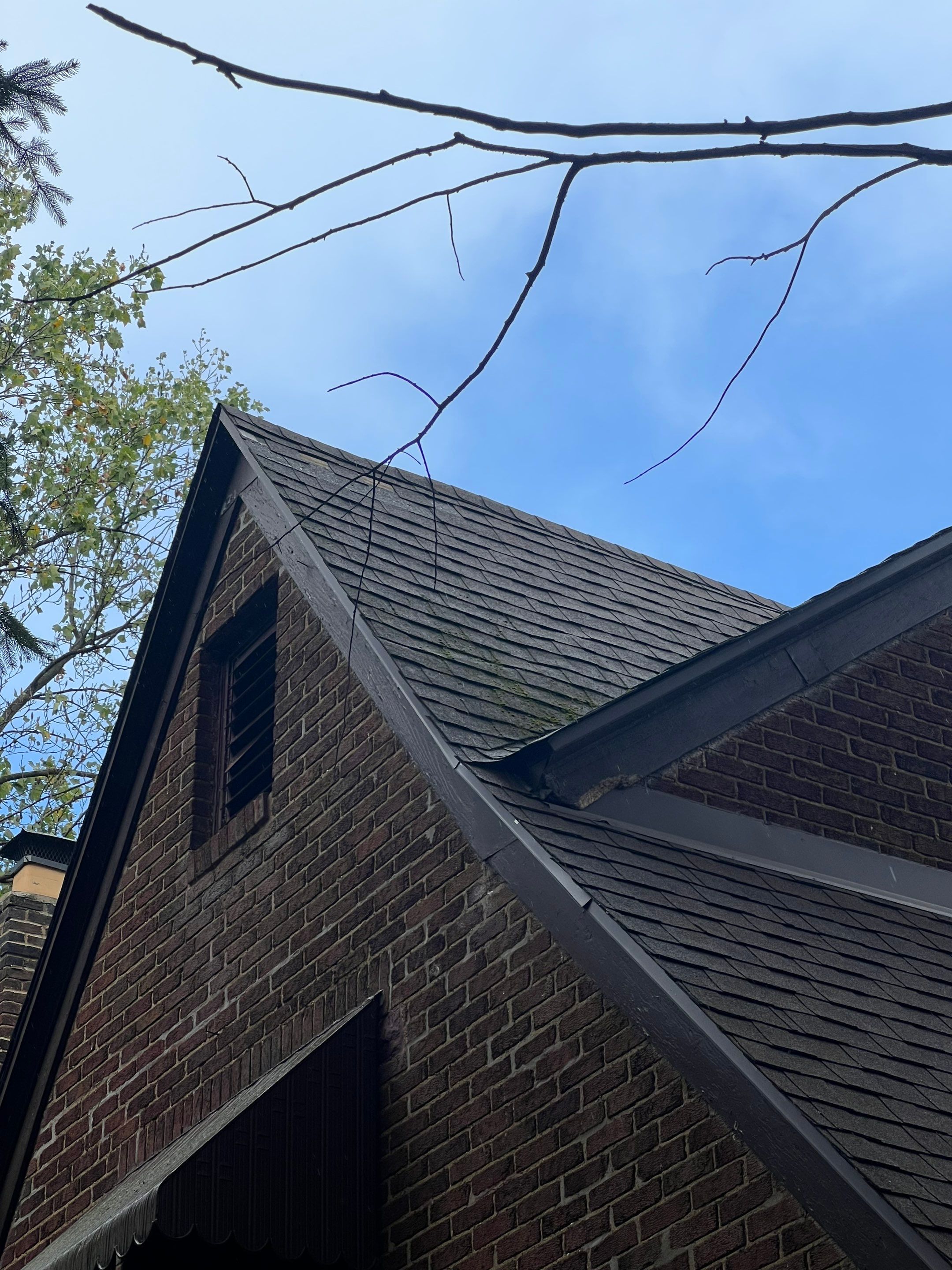Sandy Graham by Silver Leaf Contracting 