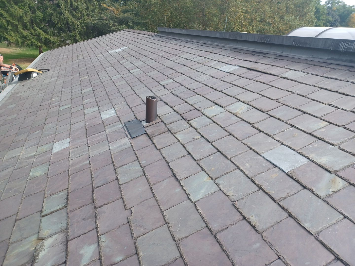 Frances Pantelides by Silver Leaf Contracting 