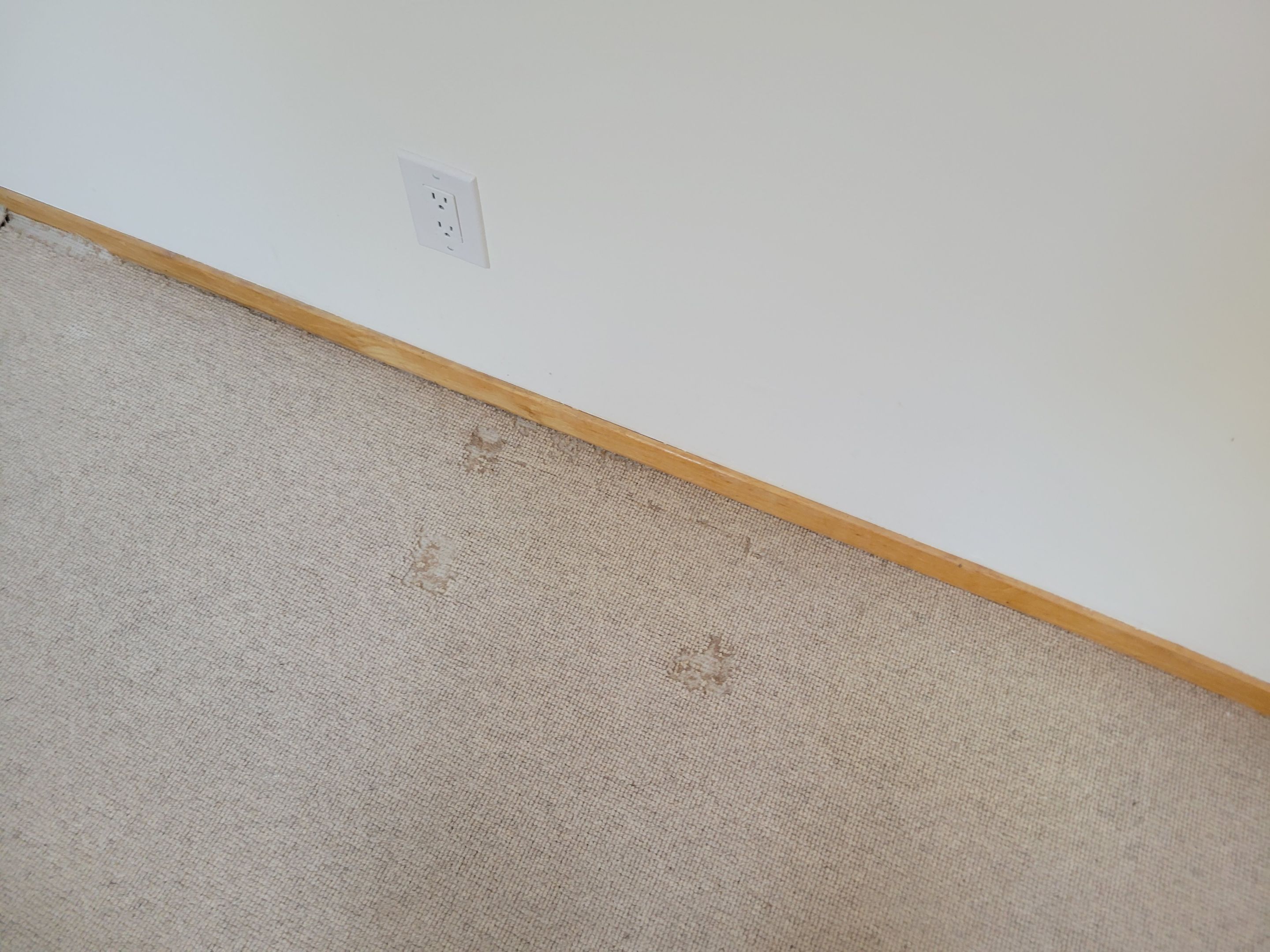 Repair and Cleaning of Wool Carpeting by Ardent Carpet Restore LLC