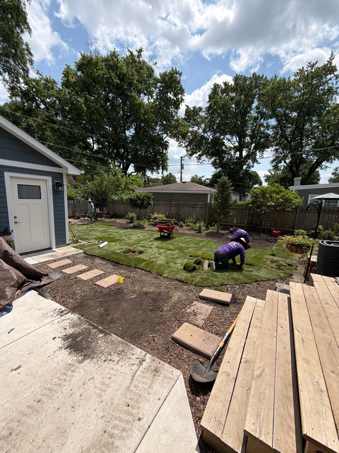 Joanne C. - Mount Prospect, IL by A&N 