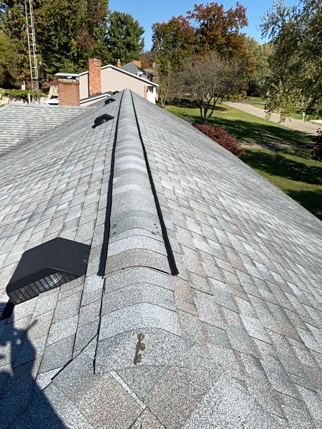 Devon Bunting by Silver Leaf Contracting 