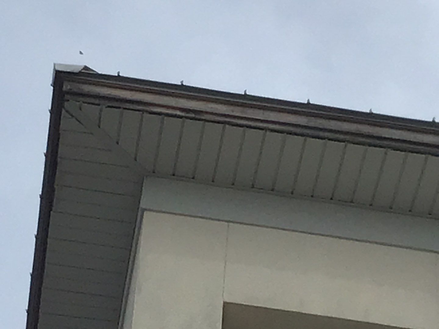 Soffit and Fascia Roof Replacement using 60' Ladders in Navarre by Gutter Professors