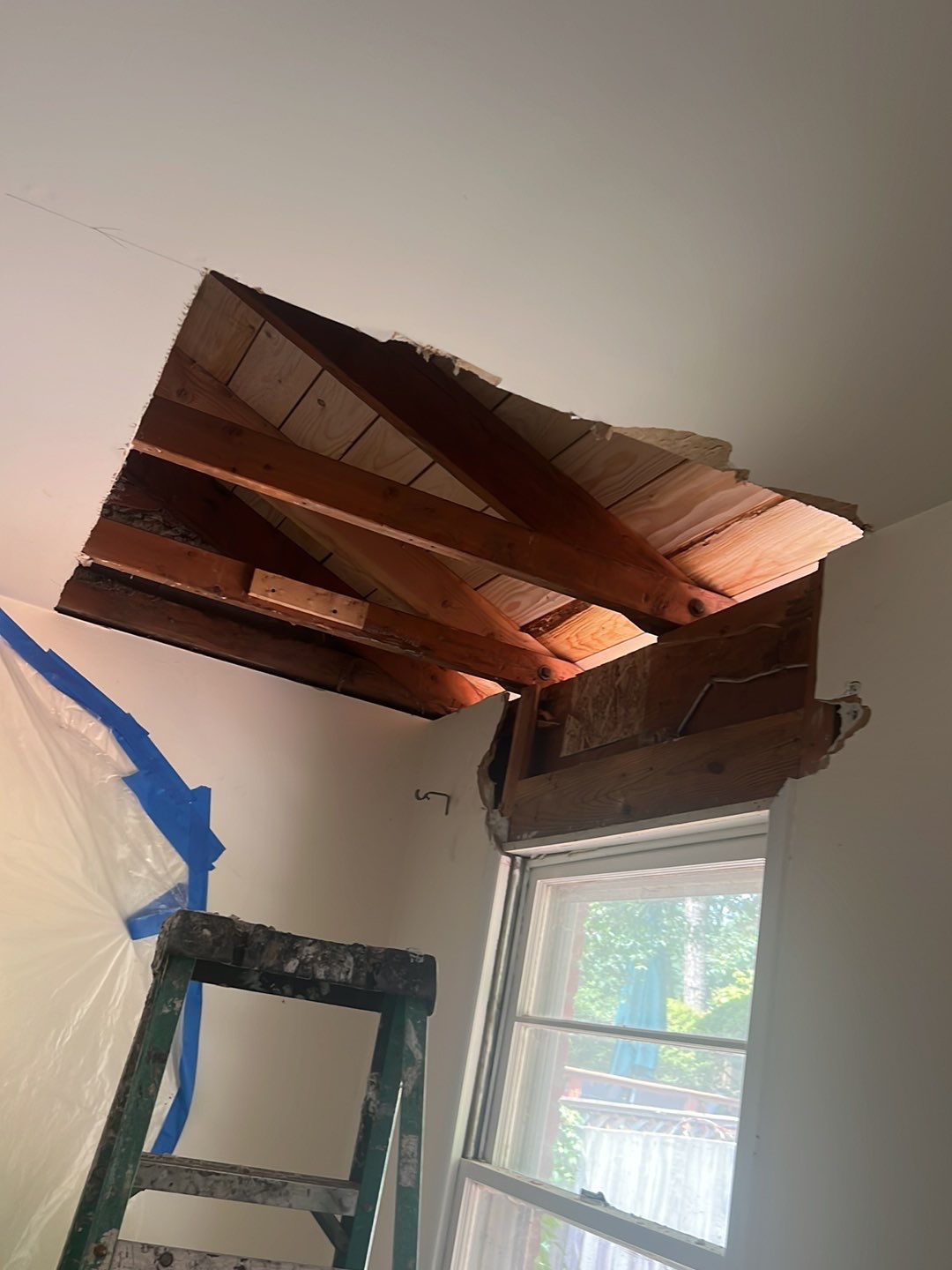 Springfield Tree Damage Restoration: CertainTeed Landmark Designer Shingles in Charcoal Black by RM Banning, Inc.