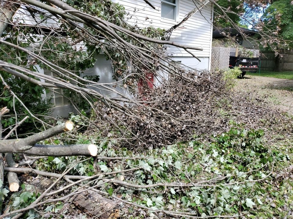 Storm Damaged Tree Removal  by Mike Jones & Sons Tree Service LLC 