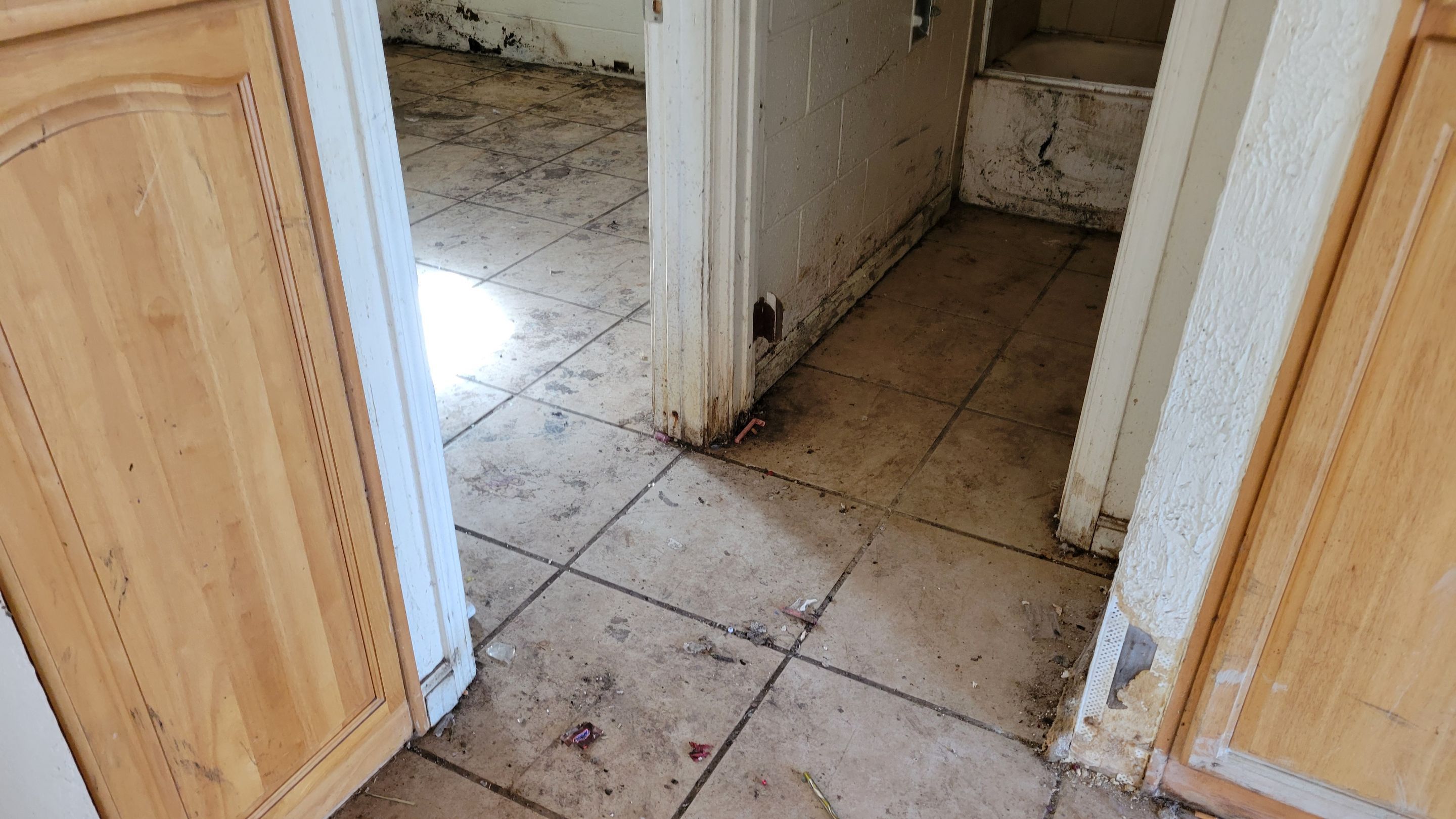 Extreme, Tile Cleaning by Ardent Carpet Restore LLC
