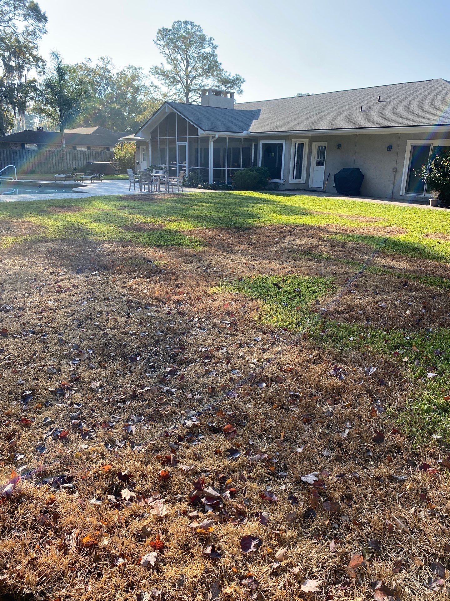 Deerwood Resident | Winter Sod Replacement by ProGreen Services