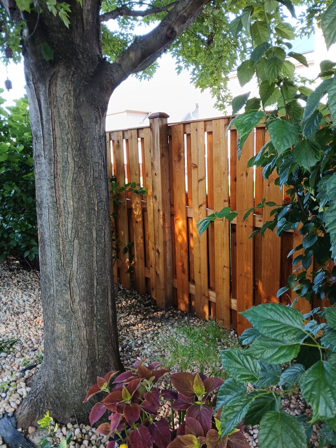 Dvorak Fence Staining by Two Brothers Residential Maintenance