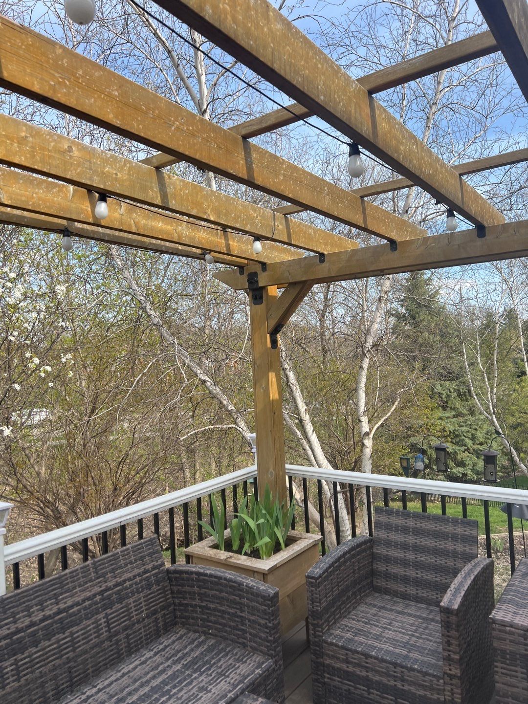Pergola re-do  by Cutting edge painting 