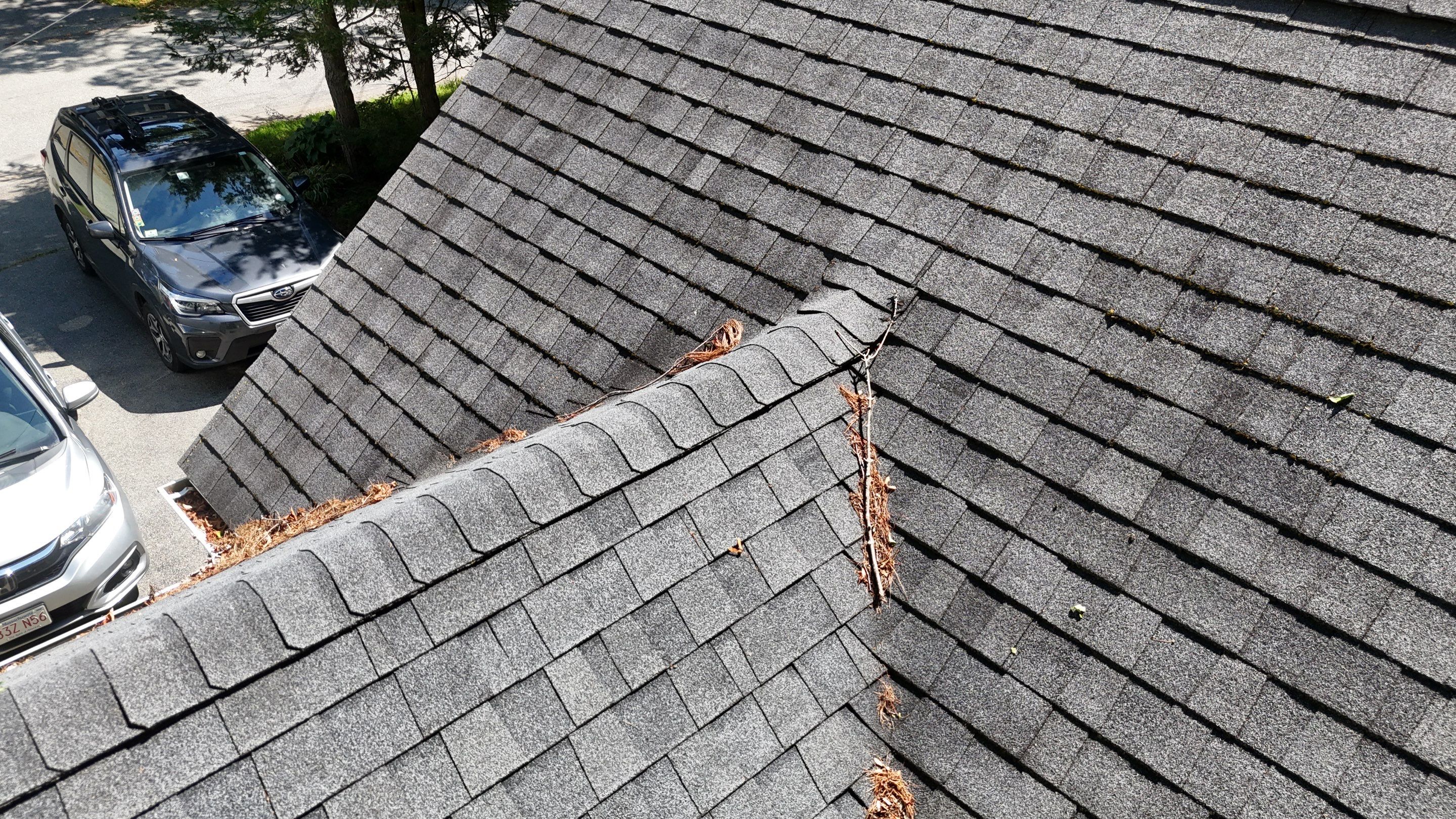 Roof Soft Wash & Gutter Cleaning – Maynard, MA by Mighty Dog Roofing of Greater Middlesex County