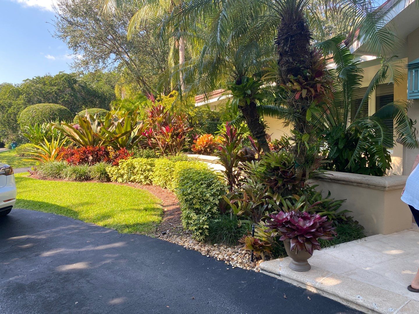 Tropical Residential Landscape in Pinecrest by Nature's Dream Landscape and Tree Service