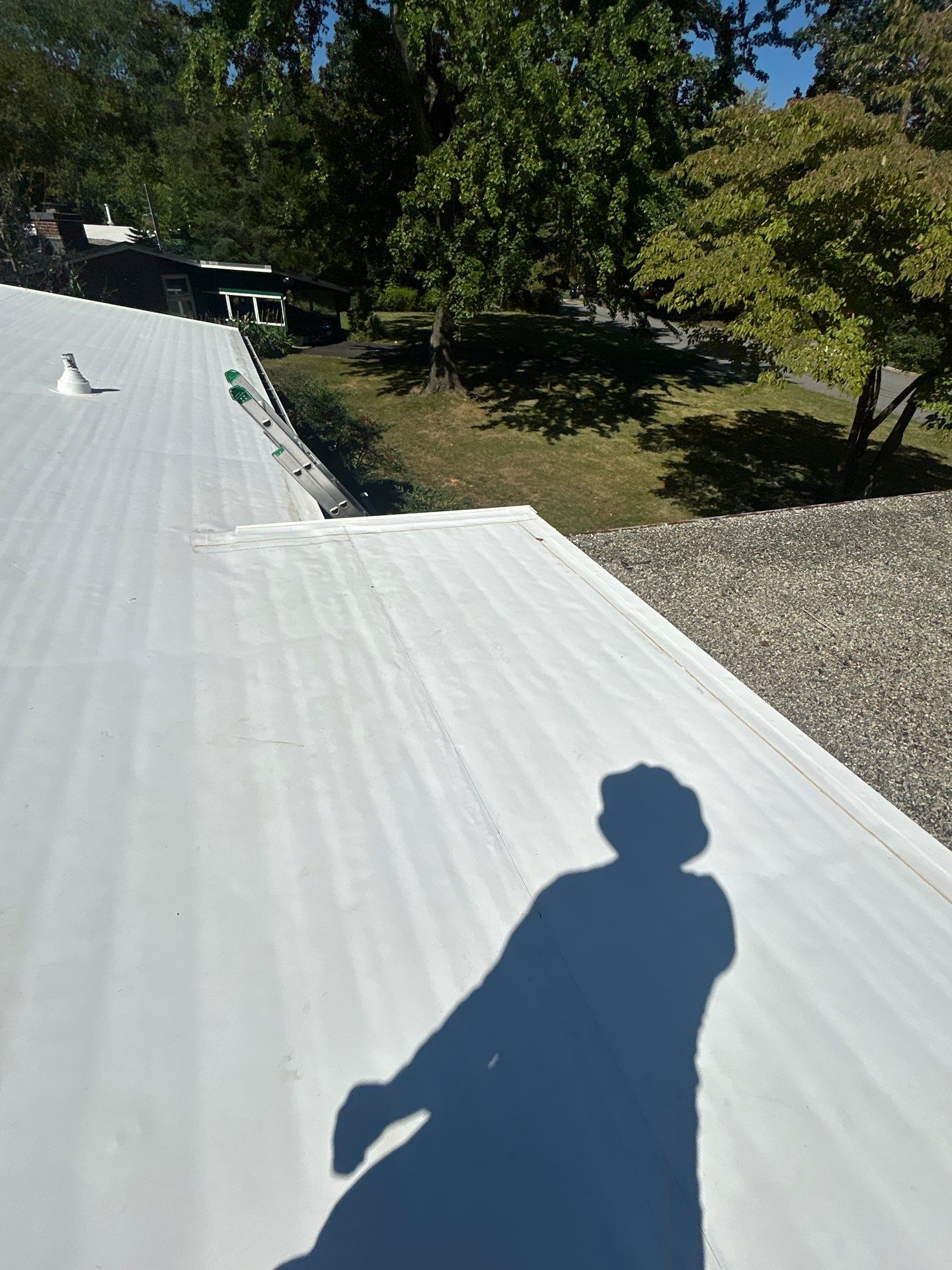 Falls Church :  TPO by RM Banning, Inc.