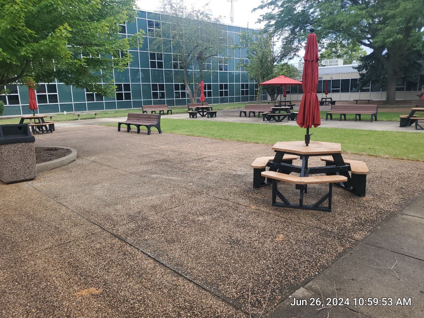 concrete using Algaecide, soft wash soap by Northern Power Washing LLC.