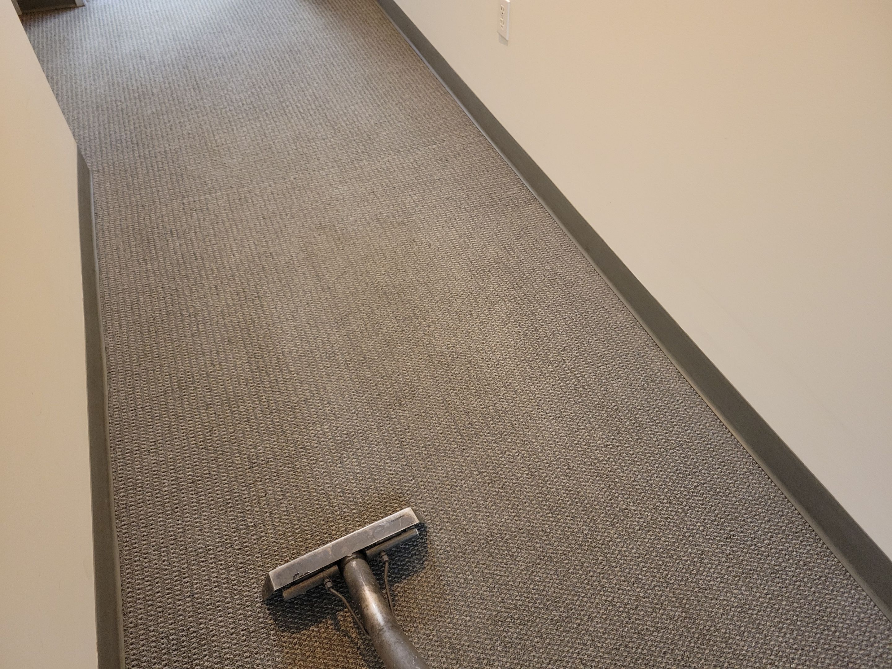 Quarterly, Commercial Carpet Cleaning by Ardent Carpet Restore LLC