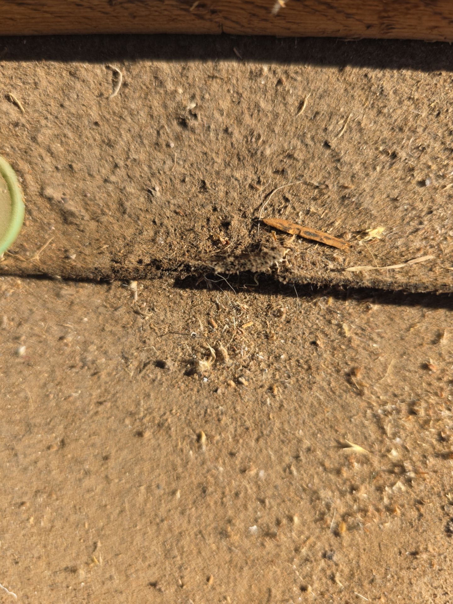 Gold Canyon Tile Reset  by Weather-Tite Roofing