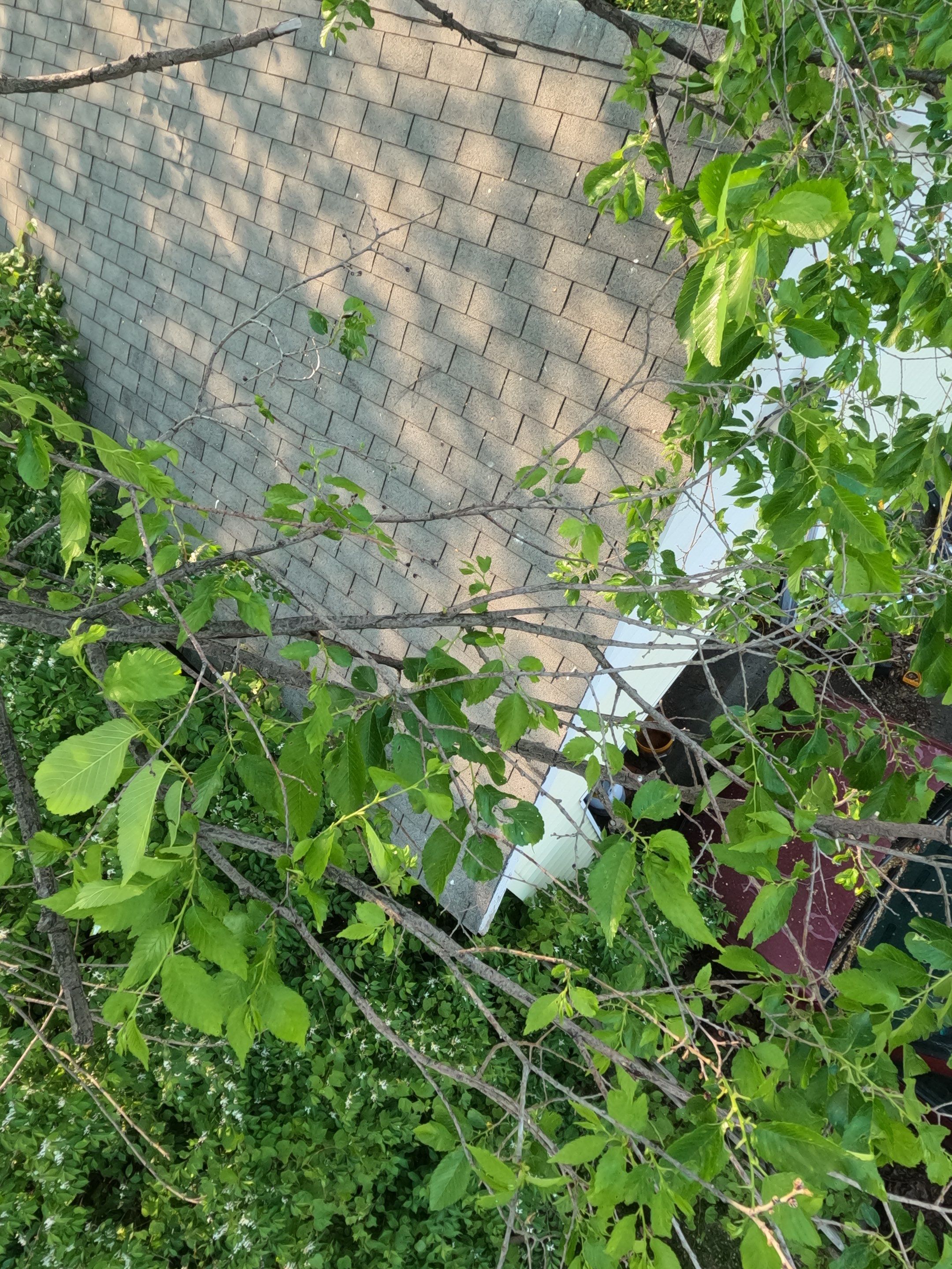 Residential Roof Replacement using Ownens Corning Duration Brownwood by Absolute Roofing and Construction