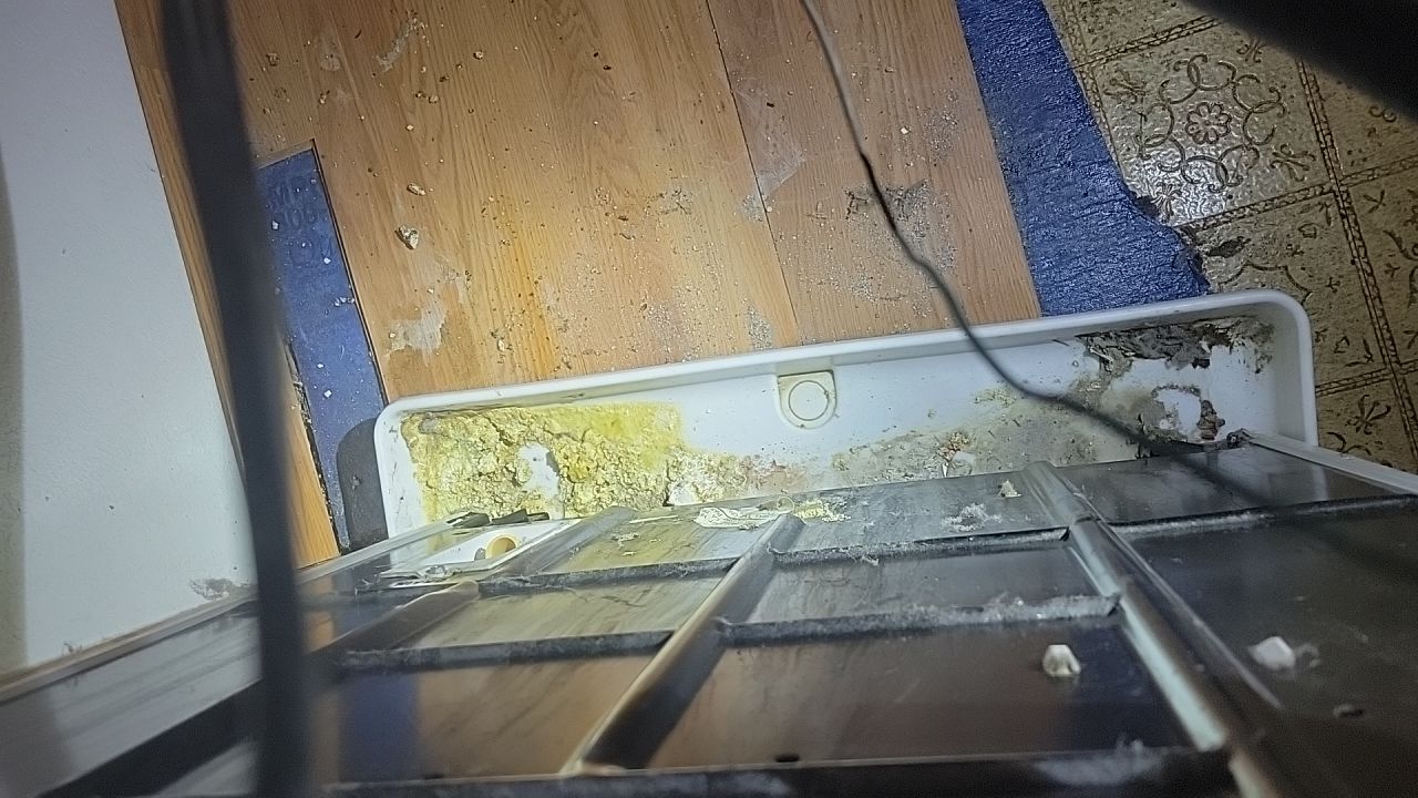 Water Damage by Accountable Home Services