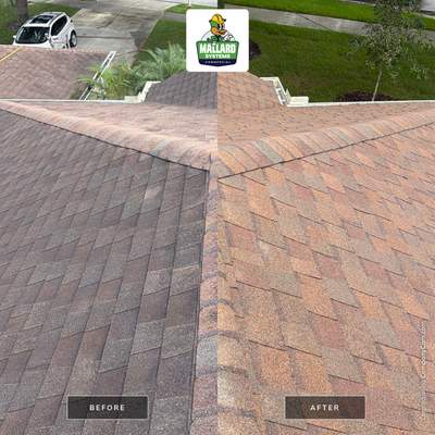 Shingle Roof Cleaning Service in Casselberry