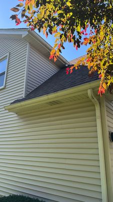 Turtle Shell gutter protection installation in Naperville, IL 60564, photograph 18